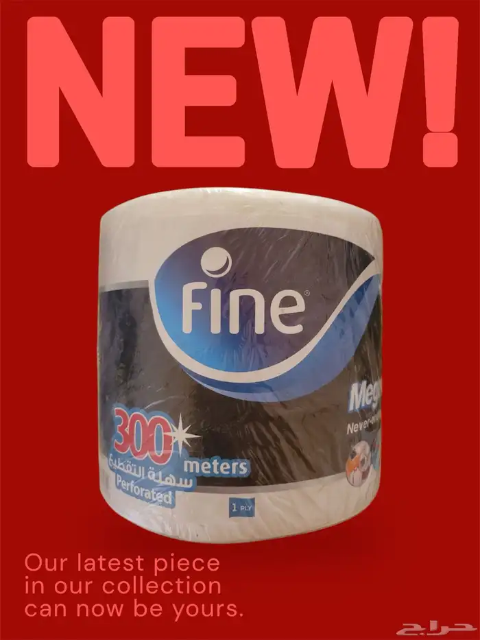 منظفات للمنازل والفلل 2