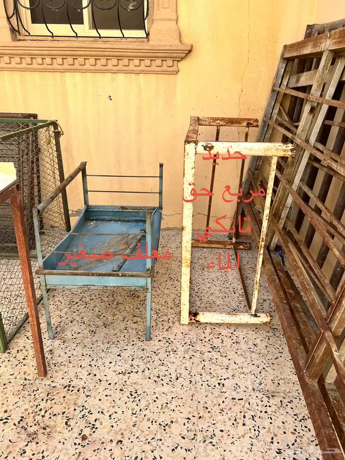 شبوك ابل و شبوك غنم 2