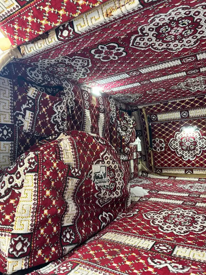 شد شاص الاختيار 3