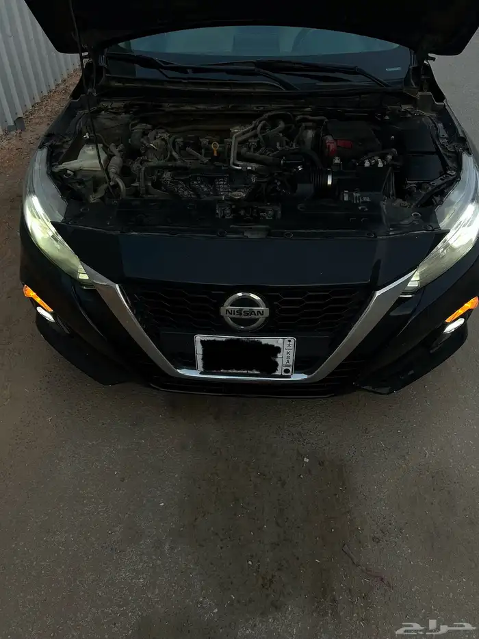 التيما 2021 12