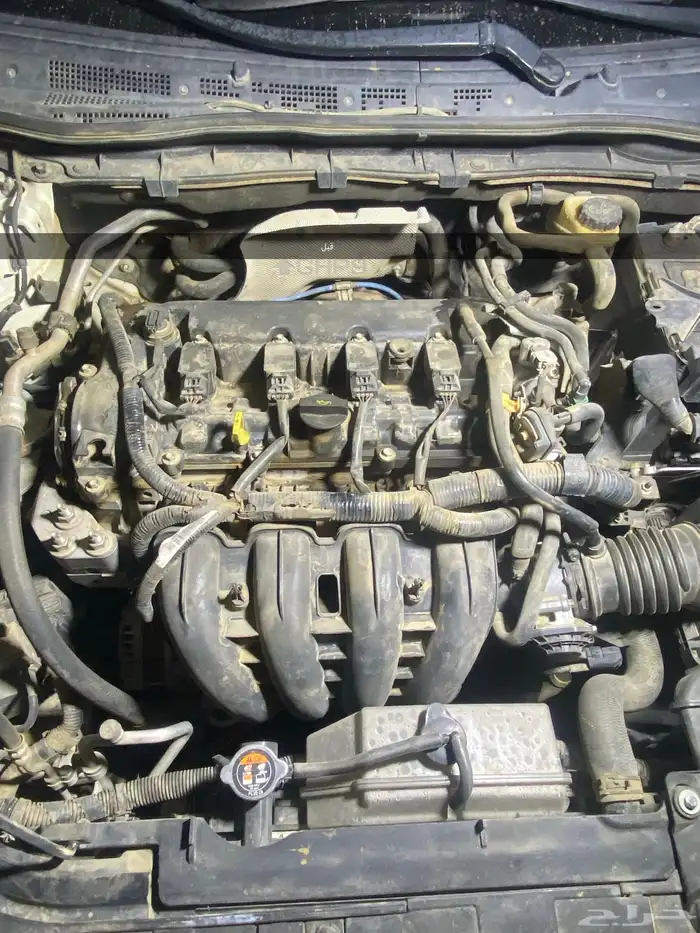 (اتصل نصل )مغسلة متنقلة بالبخار بتبوك 0