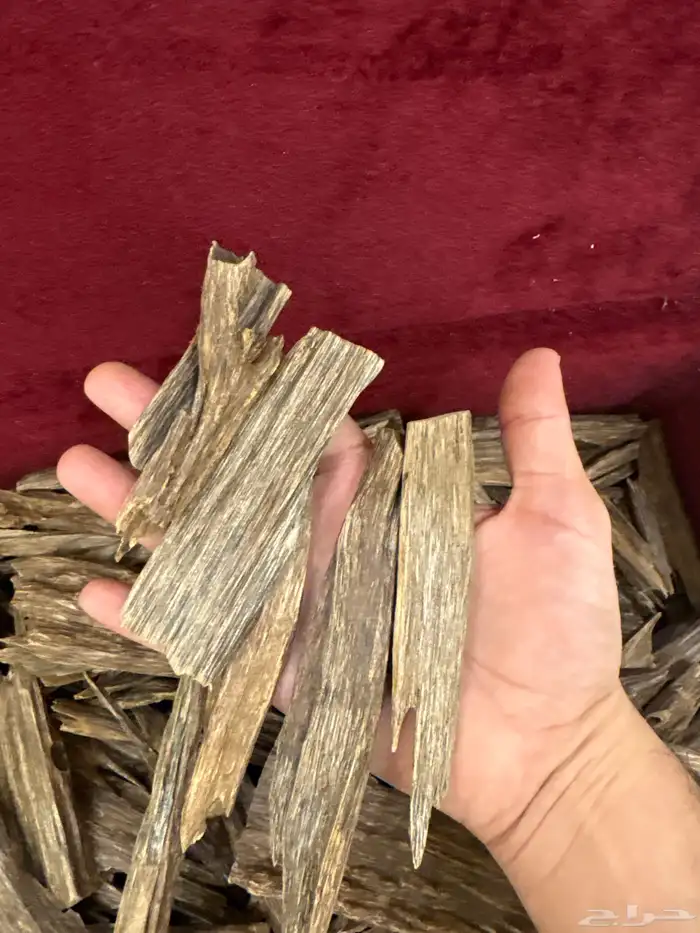 عود هندي صيده 2