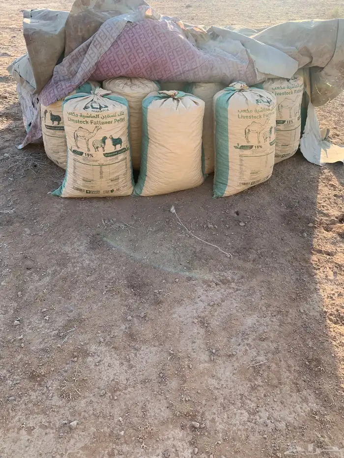 للبيع تمر علف 0