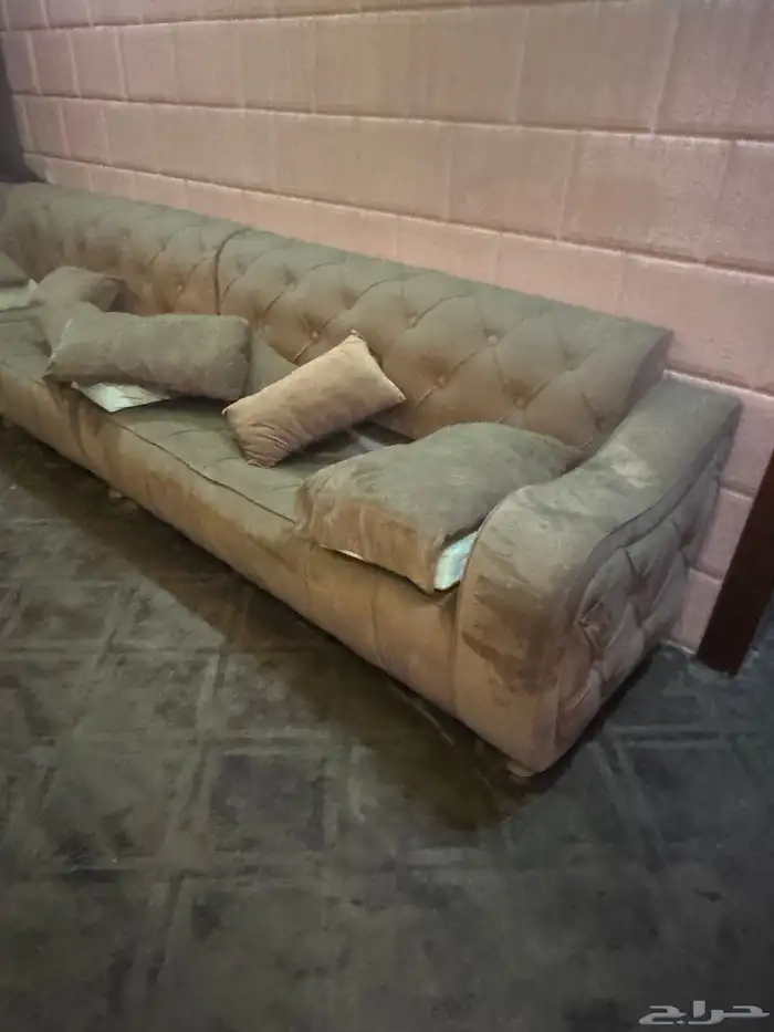 ينبع البحر 13