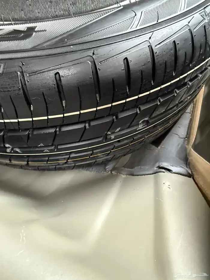 التيما 2022 استاندر 18