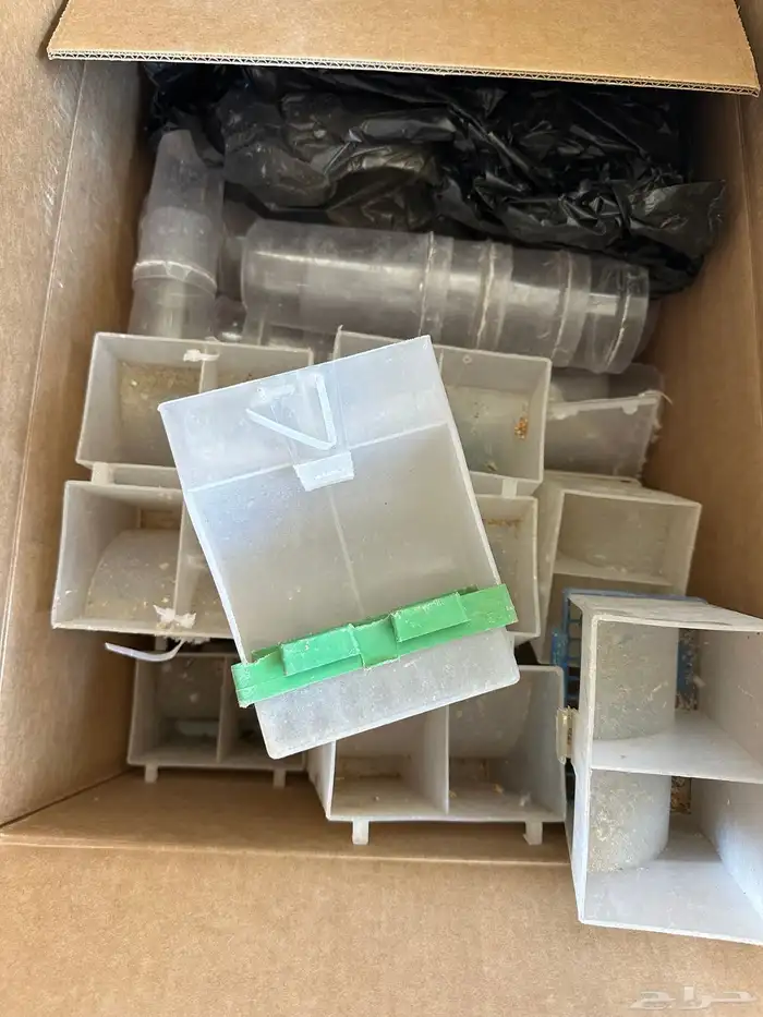 شبوك طيور 600-601 كناري 5