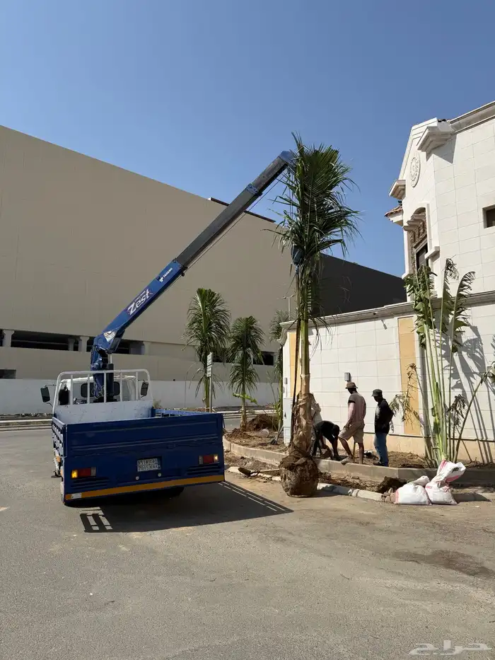 دينا ونش كرين سطه للإيجار جده داخلى وبرا شغل يوم و مشوار 2