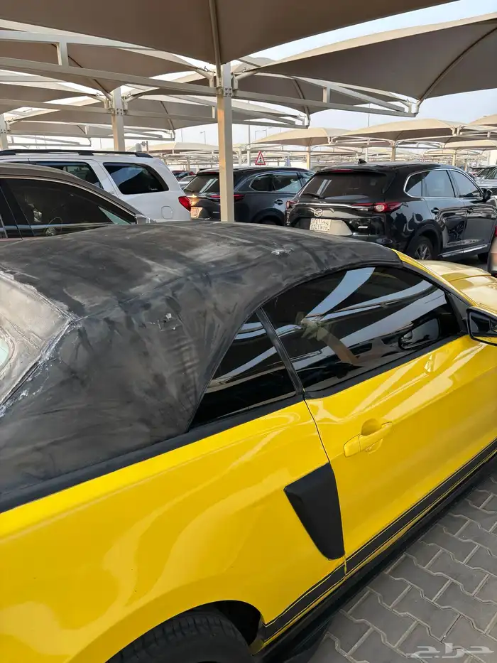 للبيع كشف موستنج مستخدم 1