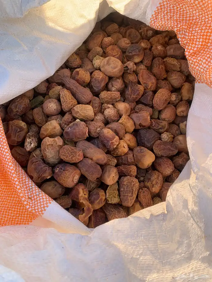 للبيع تمر علف 5