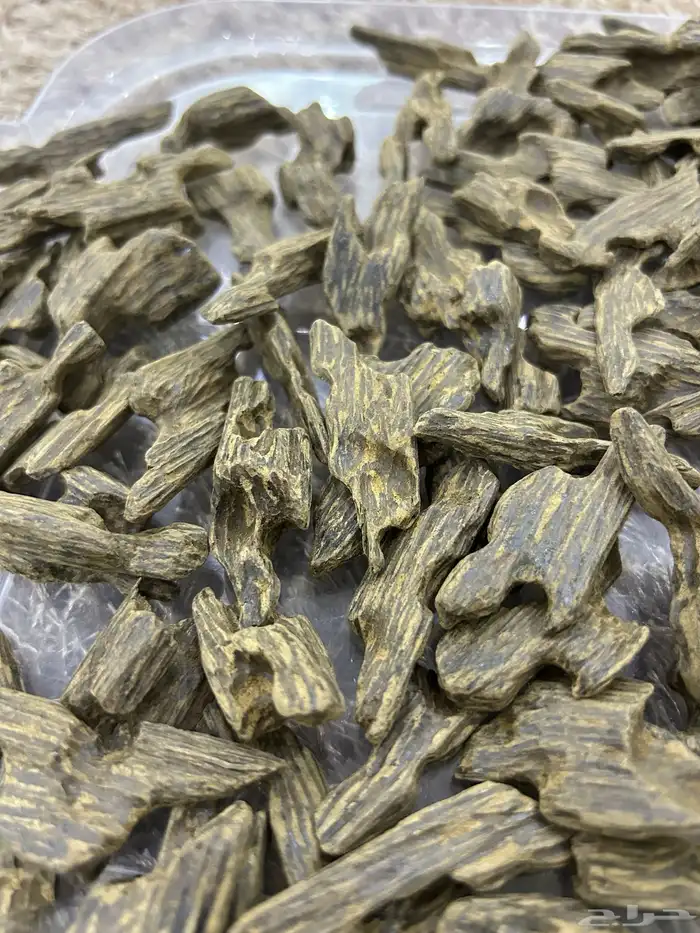 تصفية بضاعة محل عود كامله 30