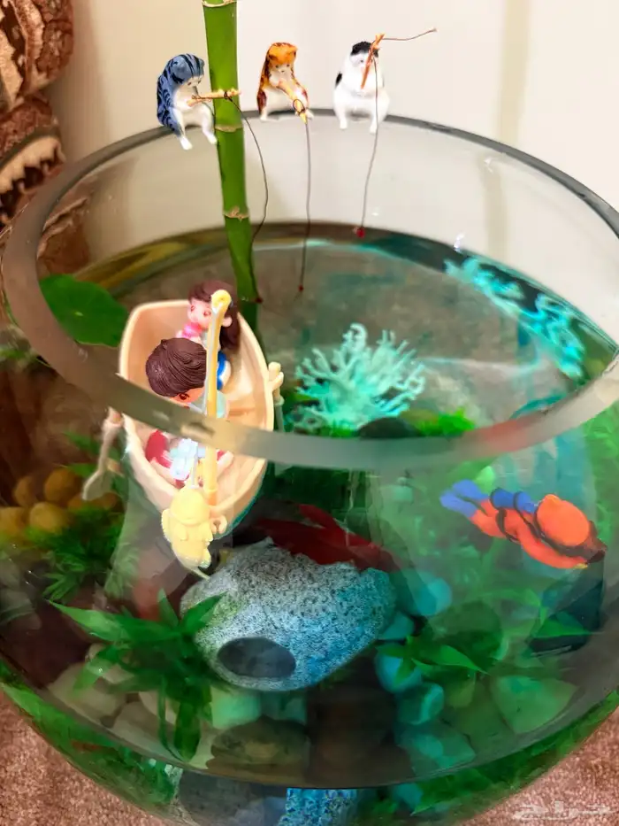 حوض سمك للبيع 0