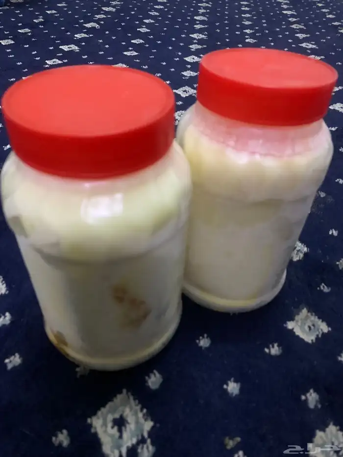 سمن غنم طازج صنع ايادي 2