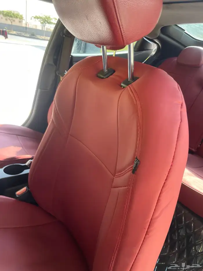 النترا 2014 17