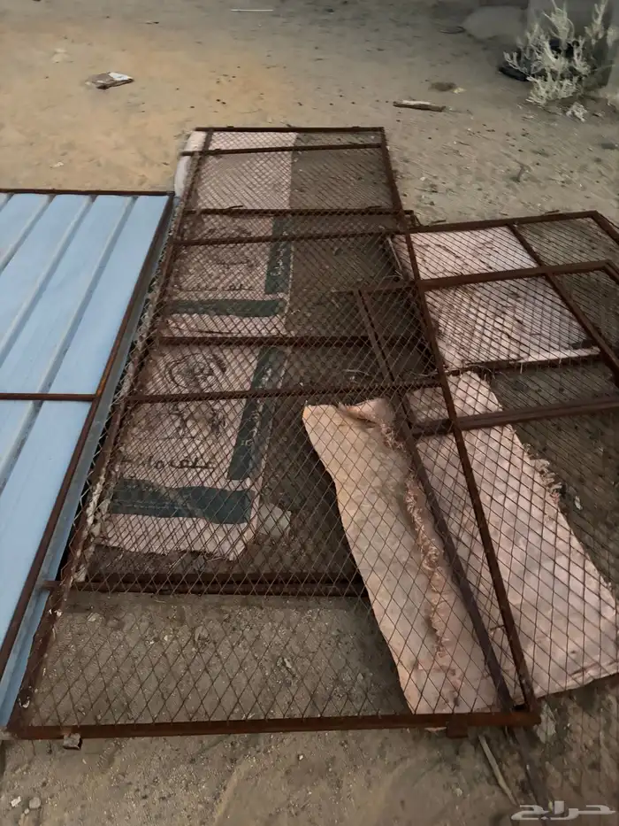 شبوك دجاج حمام ارانب 6