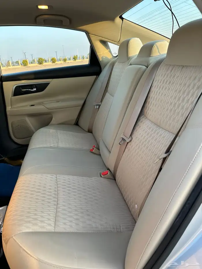 التيماء2017 16