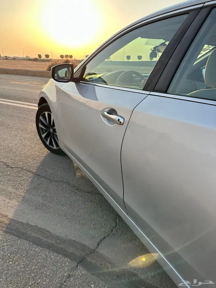 التيماء2017 3