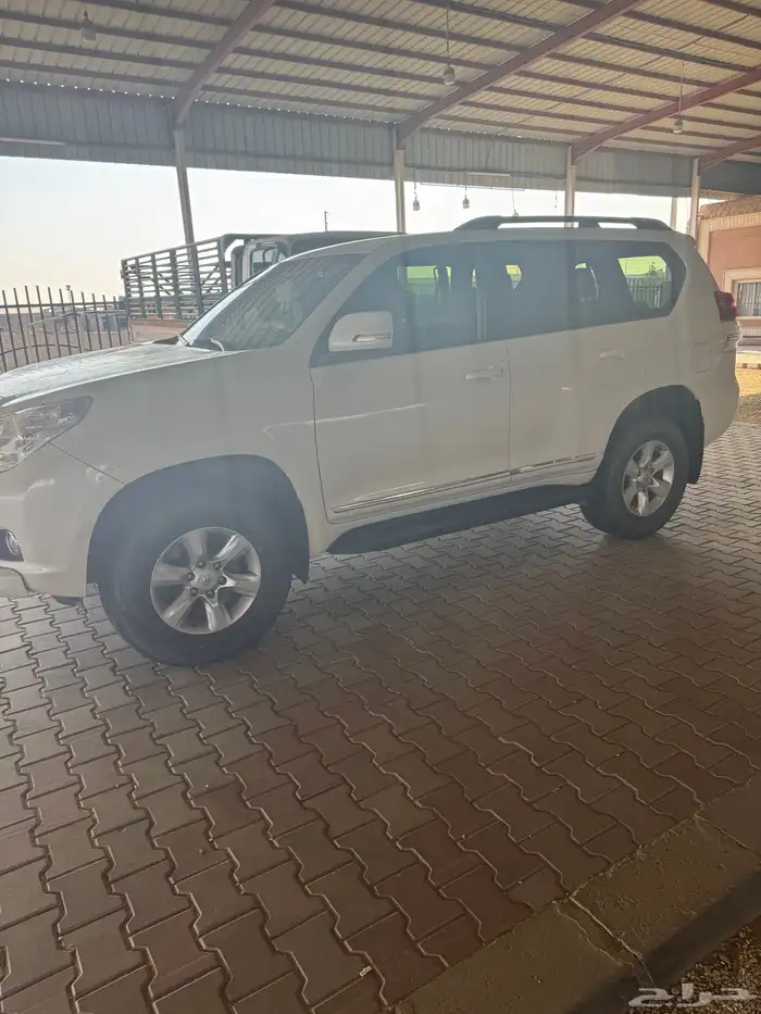 برادو سته سرندل دبل ثلاجه 6