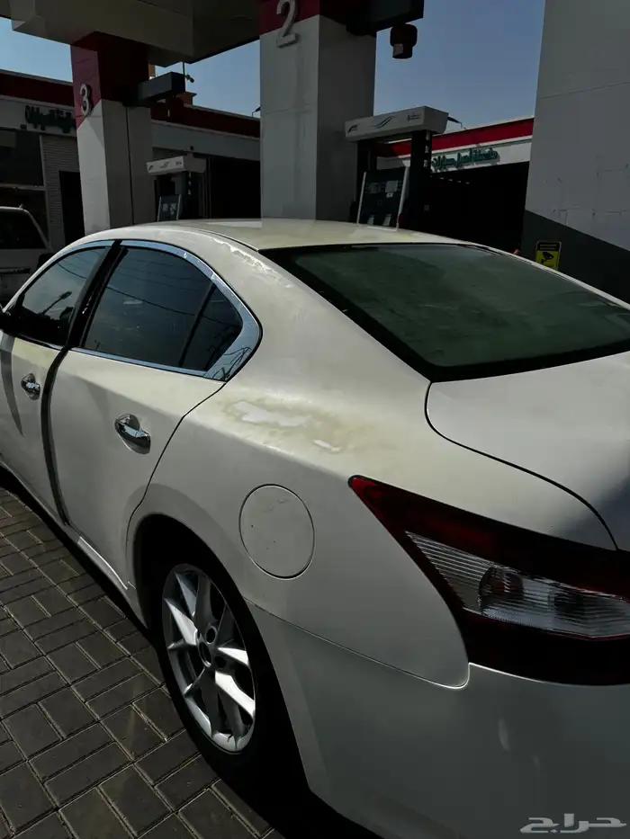 ماكسيما 2010 13