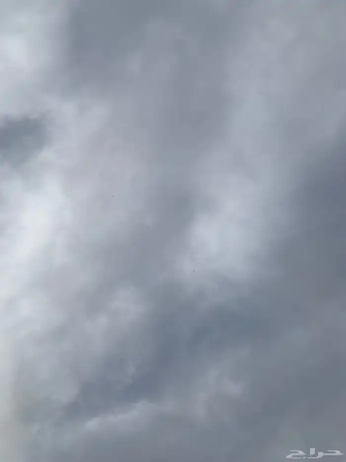 حمام بكستاني 20