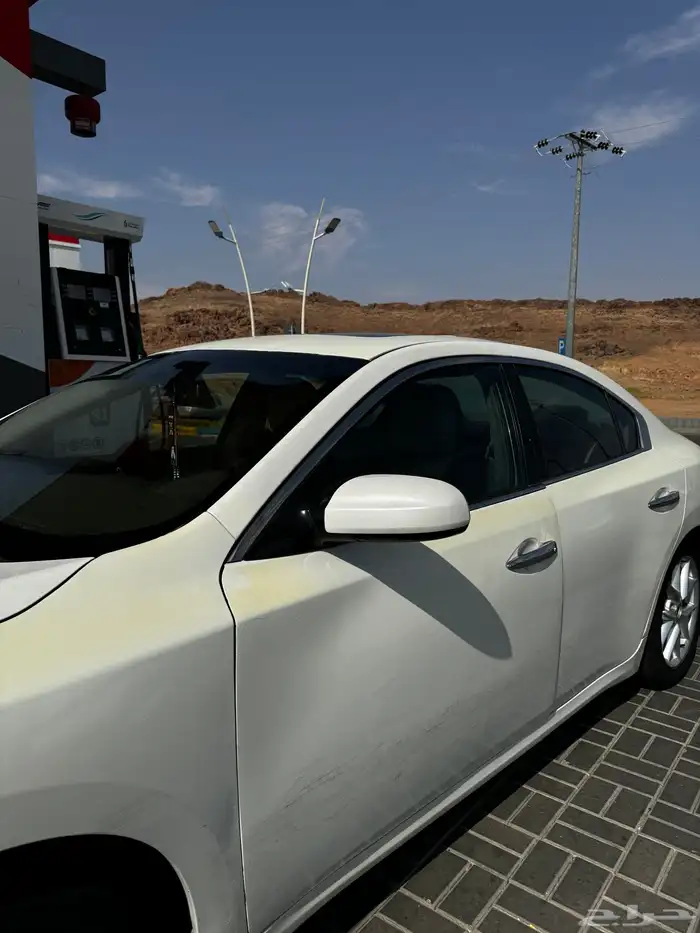 ماكسيما 2010 8