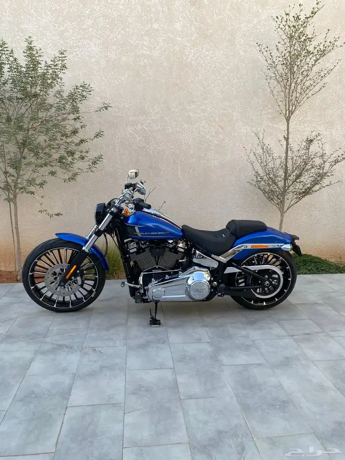 للبيع هارلي بريك اوت جديد 2024 13