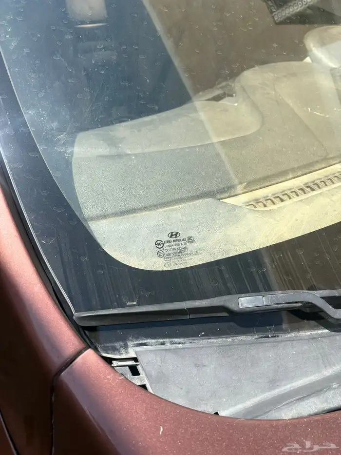 النترا 2013 21