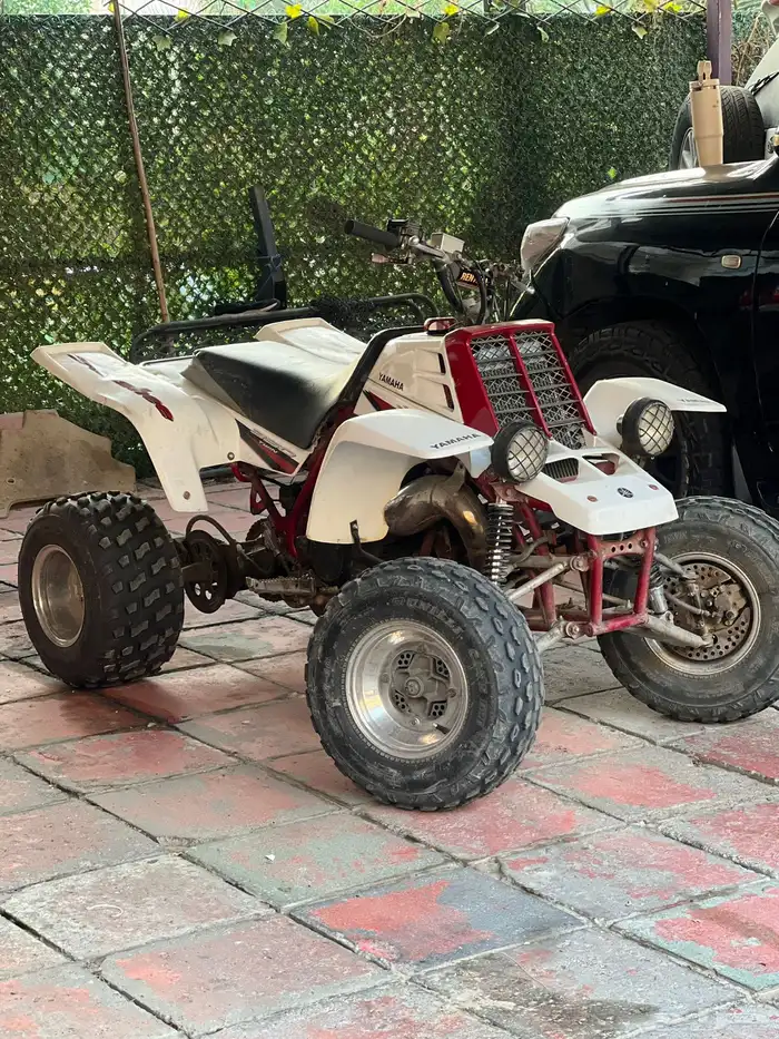 دباب بانشي 2005 0