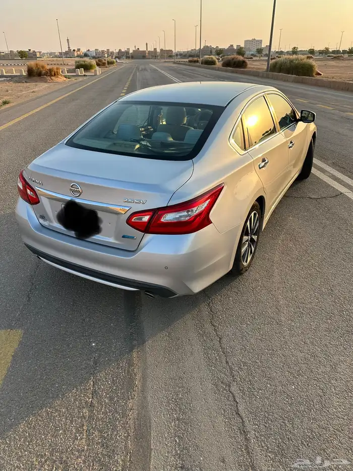 التيماء2017 1