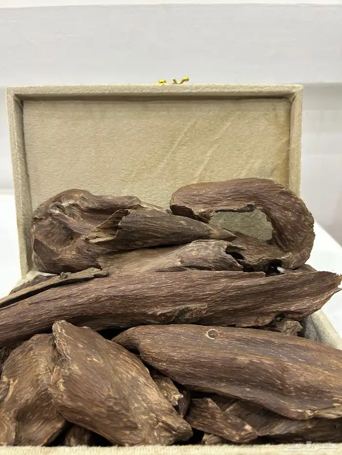 تصفية بضاعة محل عود كامله 14