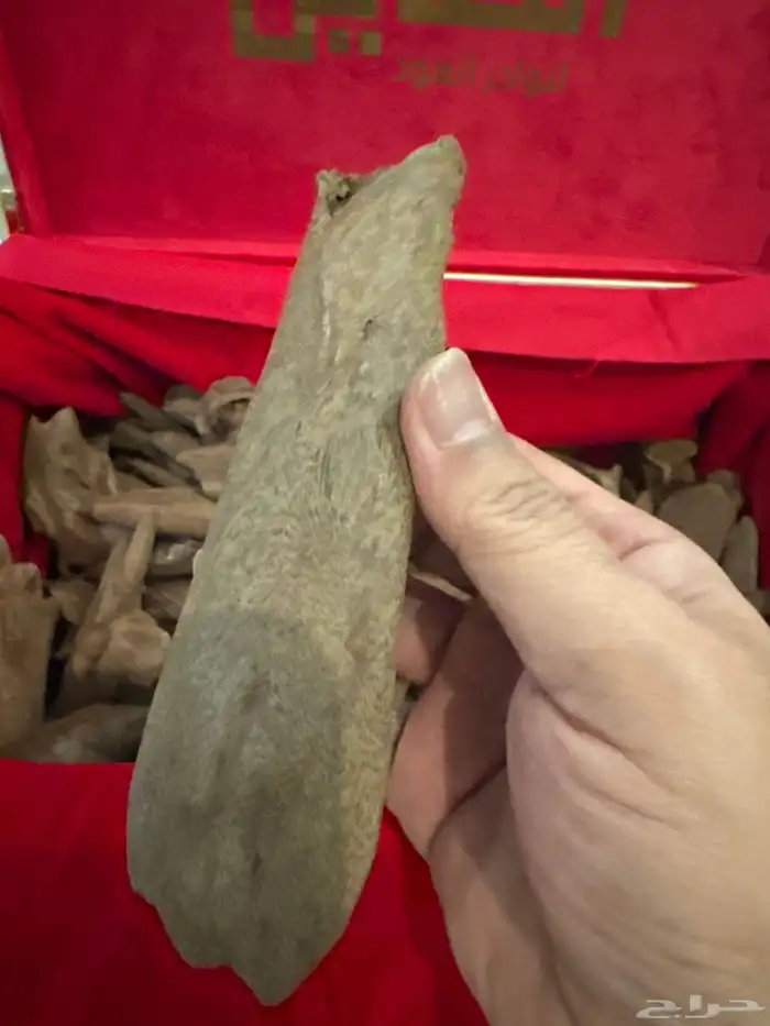 نوادر العود المروكي القديم 2