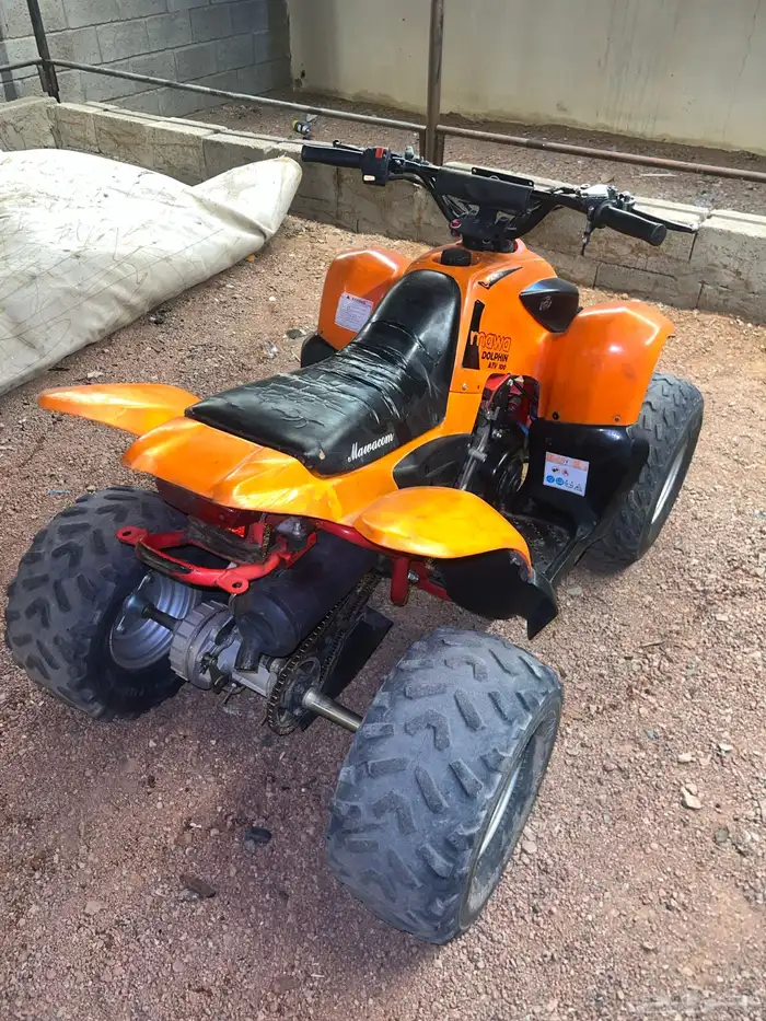 دباب تيواني 100 3