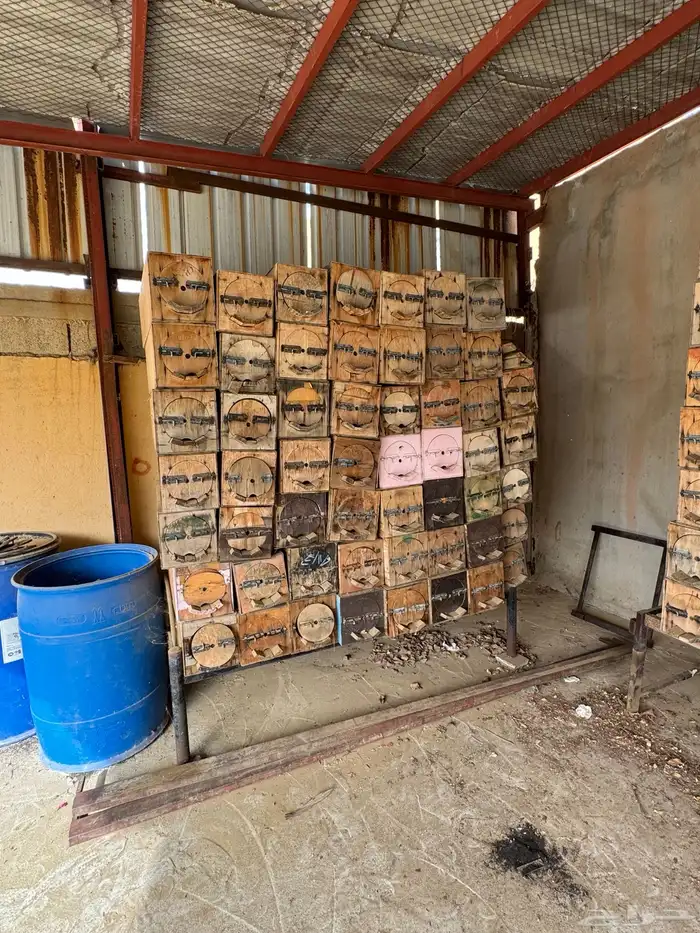 للبيع خلايا نحل فاضية 4