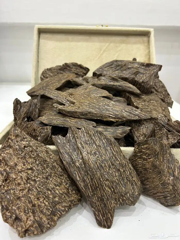 تصفية بضاعة محل عود كامله 16