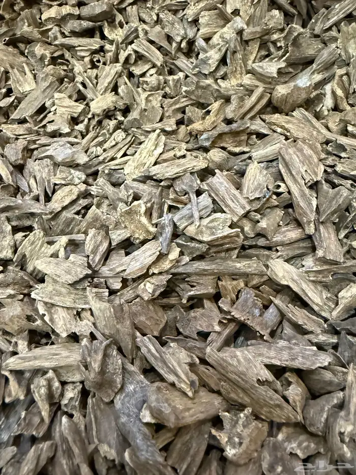 عود هندي موري 3