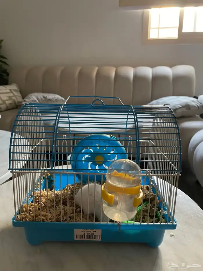 طيور و هامستر 1