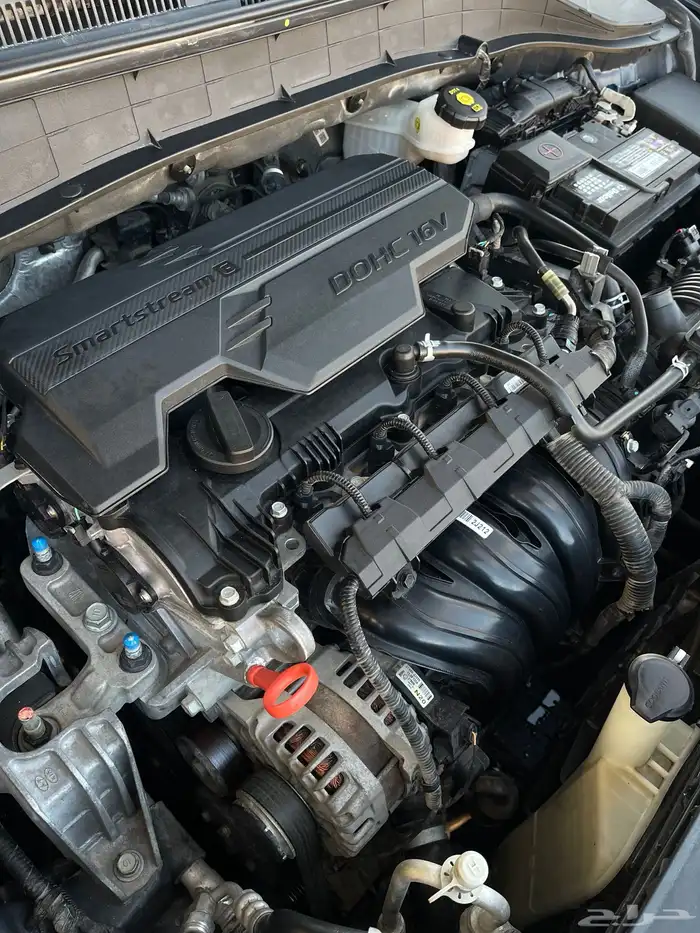 كونا 2021 شكل الجديد 5