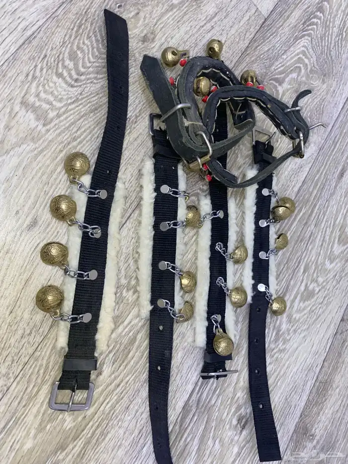 خلخال رقص خيل 1