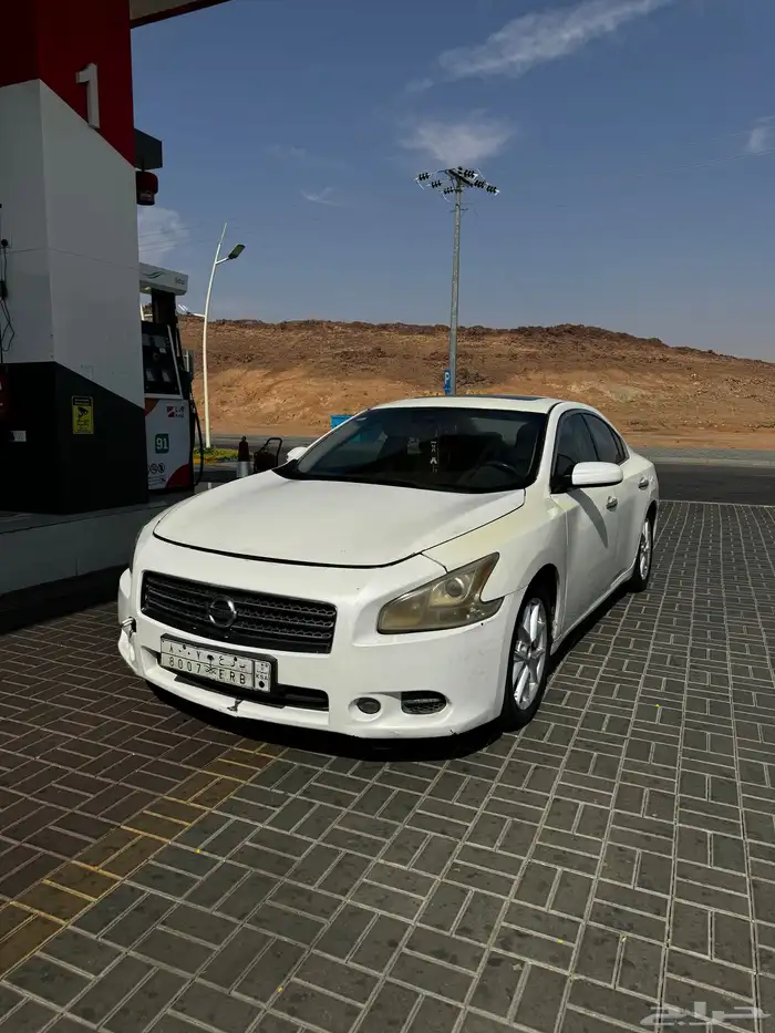 ماكسيما 2010 1