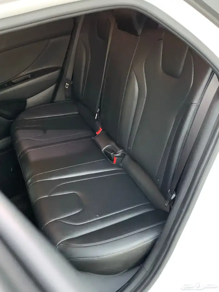 إلنترا 2021 ممشى قليل ونظيفة وكالة 19