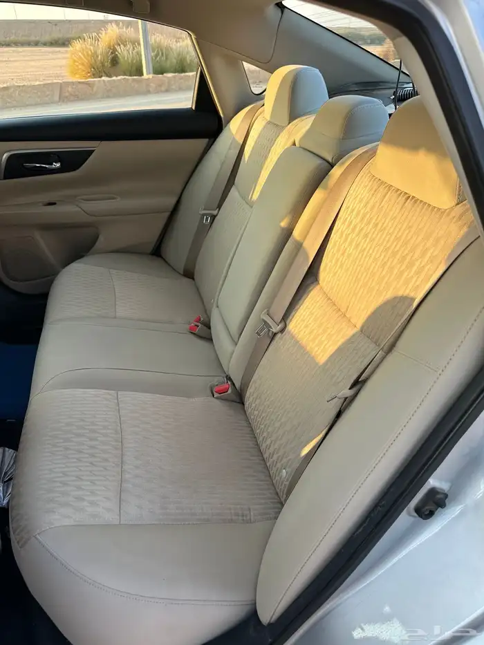 التيماء2017 10