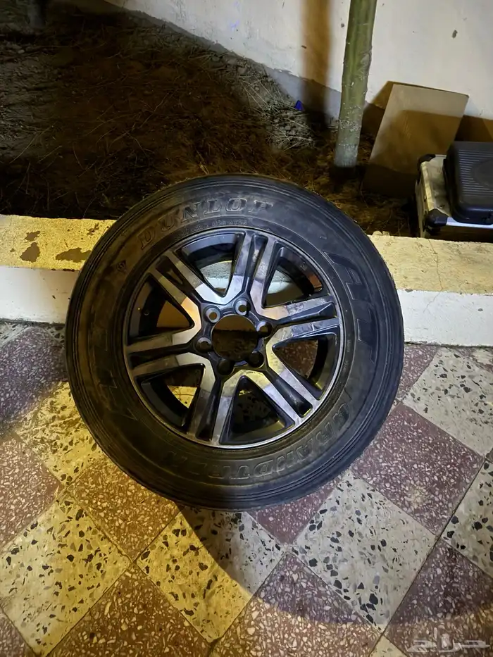 جنط فورشنر 2023 2