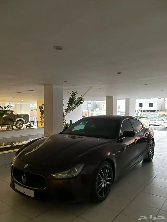 مزراتي قيبلي 2016 5