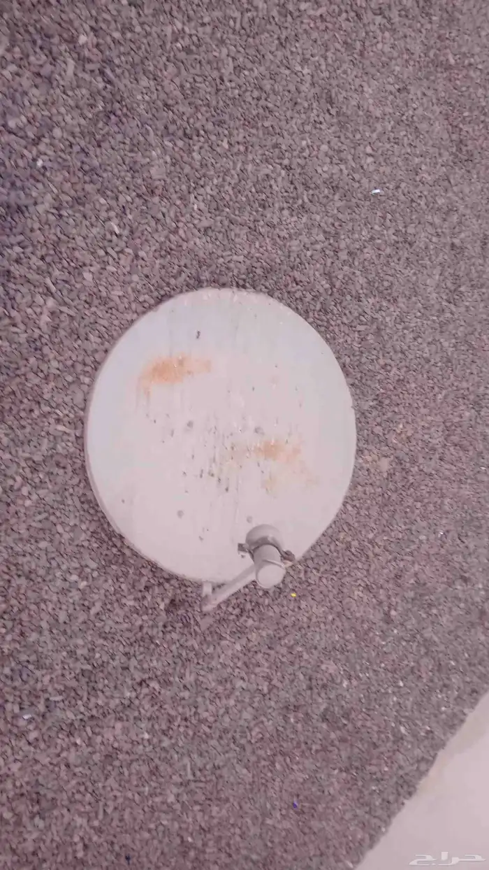 داش حق تلفزيون 0