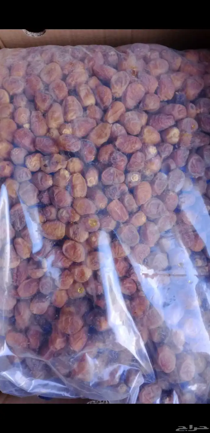 تمر برحي معبأ بكراتين موز كبيرة 1