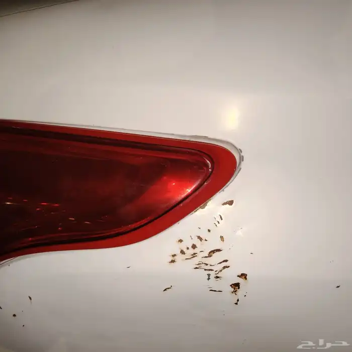 نيسان صني 2016 7