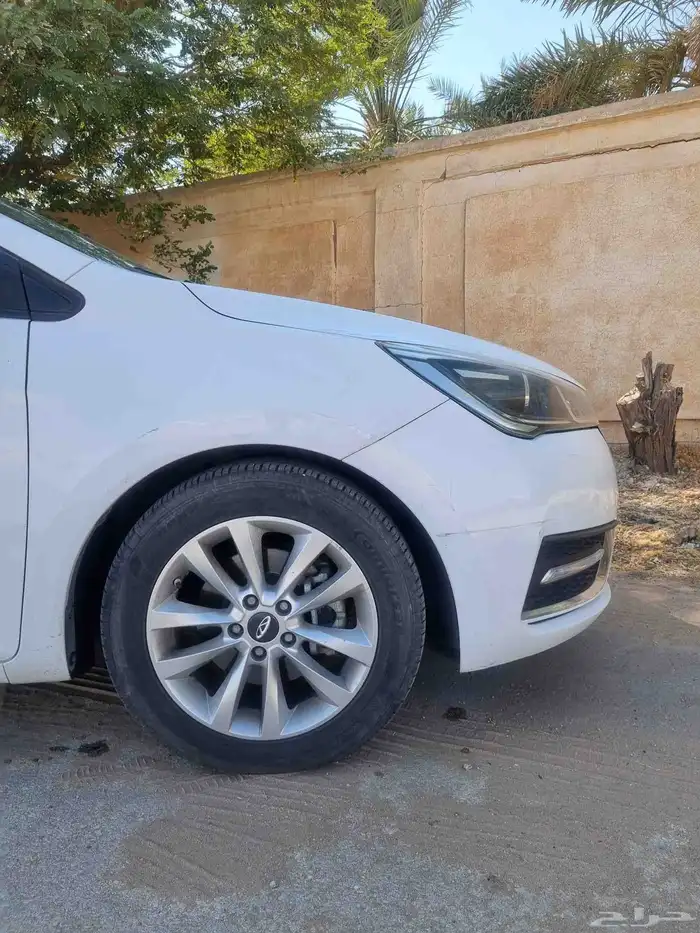 شيري اريزو 5 -2022 2