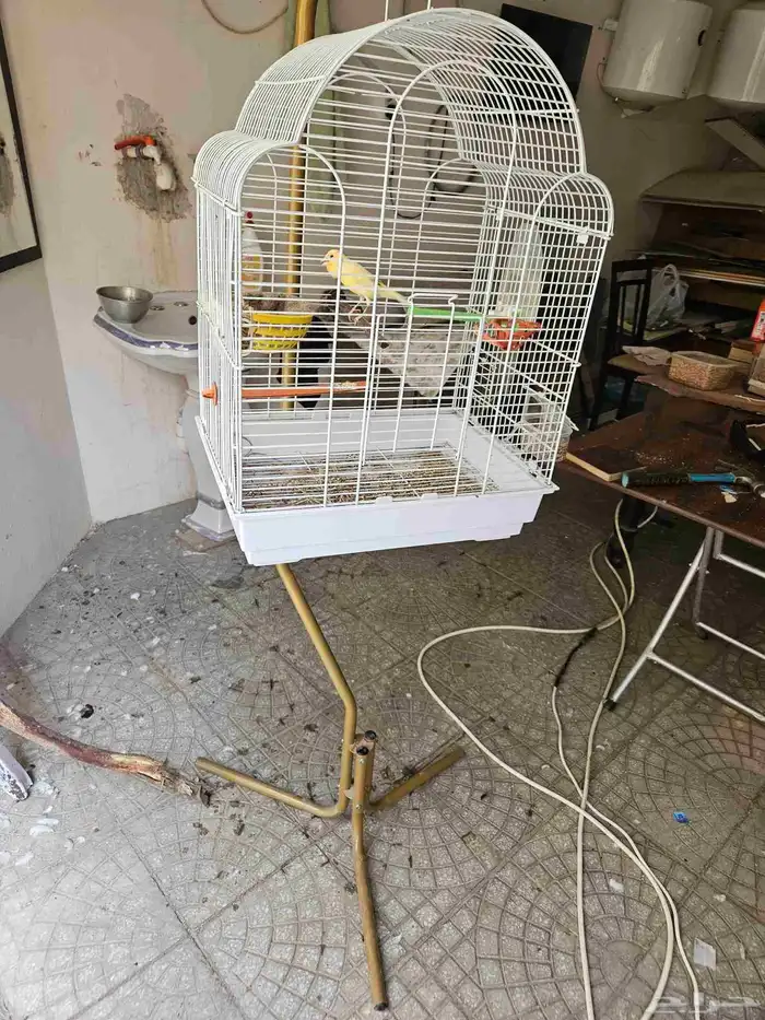 قفص باستاند للبيع 1