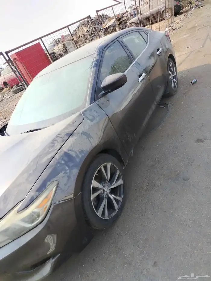 نيسان مكسيما 2016 4