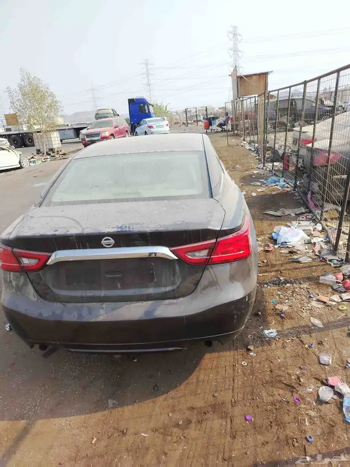 نيسان مكسيما 2016 1