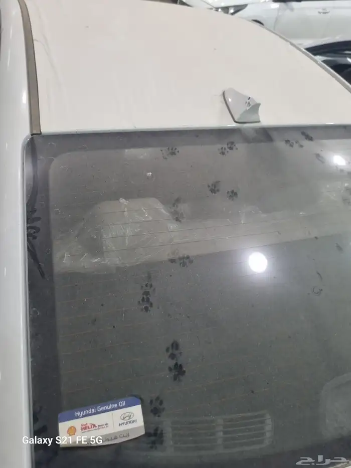 النترا 2020 صفر 17